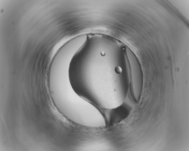 X0000089440960200707061405