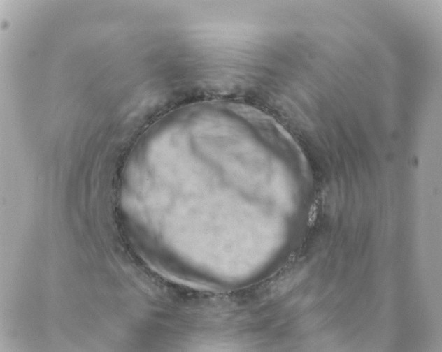 X0000089440961200707061404