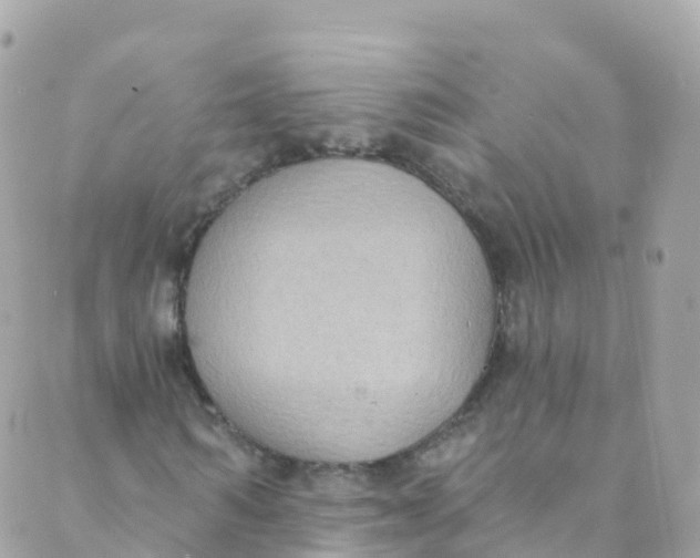 X0000089440962200707061404