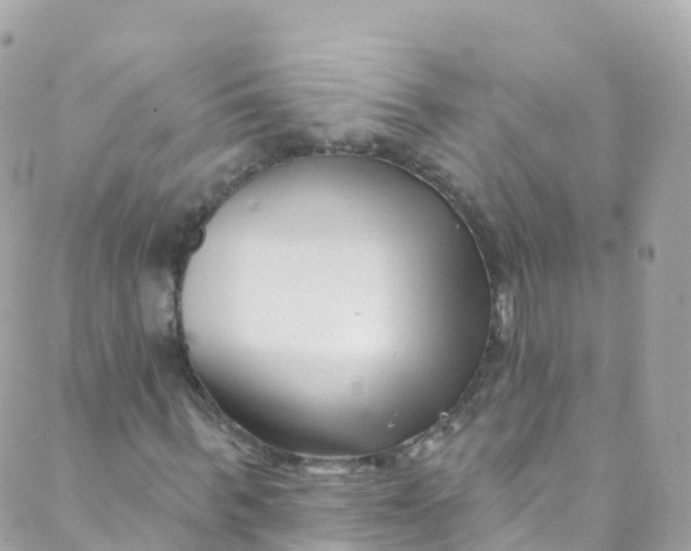 X0000089440963200707061404