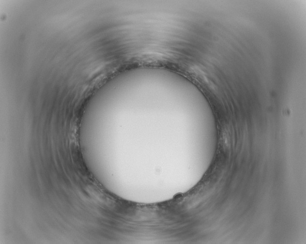 X0000089440964200707061404