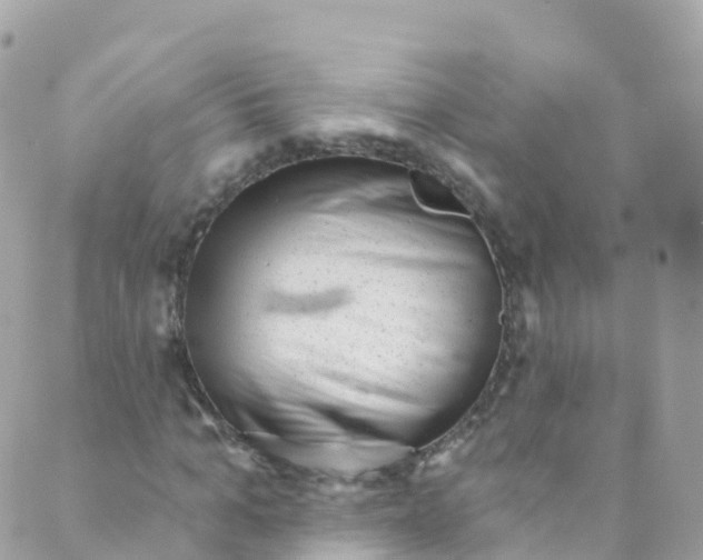 X0000089440965200707061404