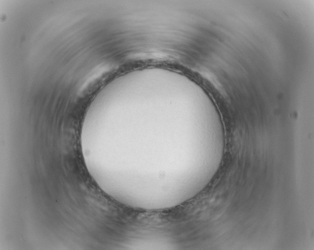 X0000089440967200707061404