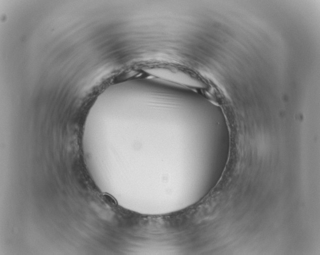 X0000089440968200707061404