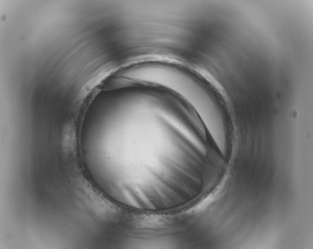 X0000089440969200707061404