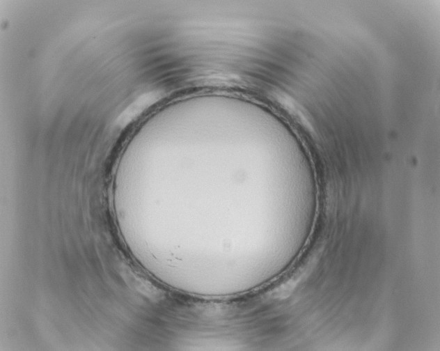 X0000089440970200707061404