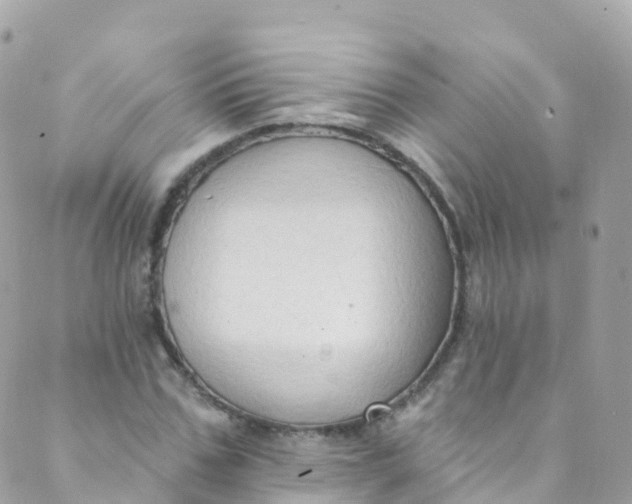 X0000089440971200707061404