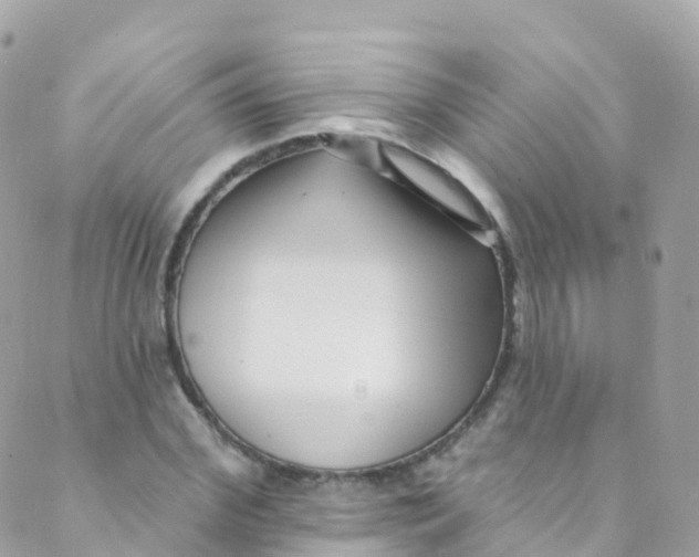 X0000089440972200707061404