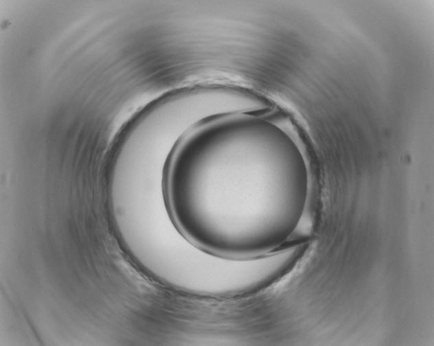 X0000089440973200707061404