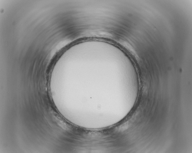 X0000089440974200707061404