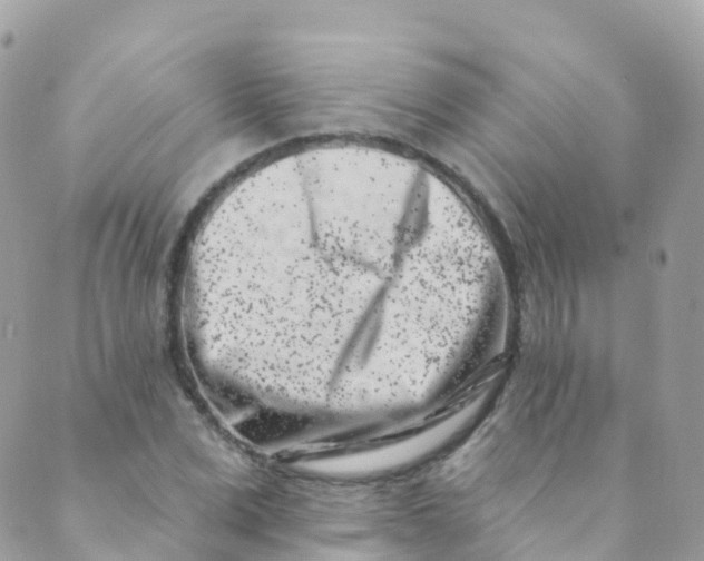 X0000089440975200707061404