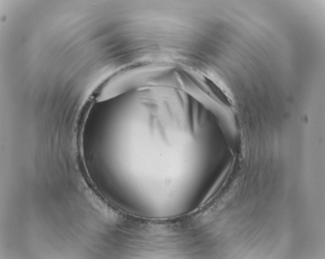 X0000089440976200707061404