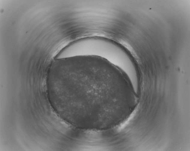 X0000089440977200707061404