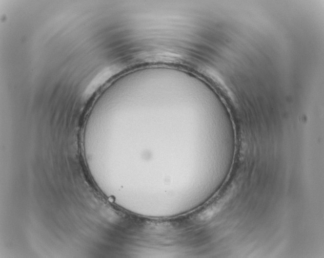 X0000089440978200707061404