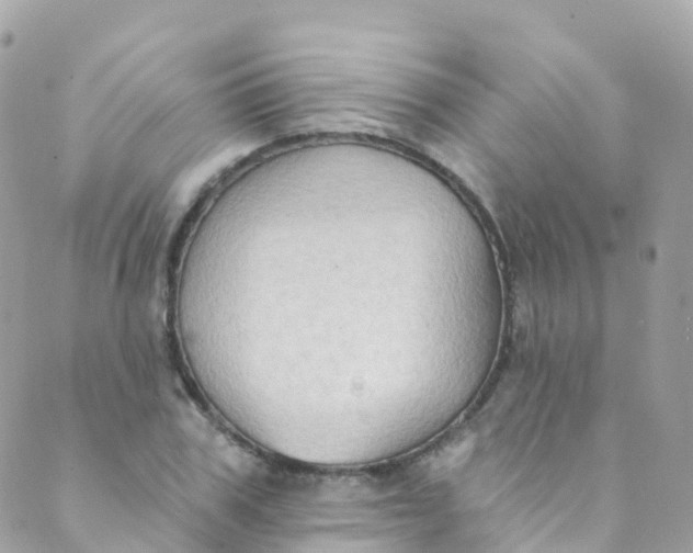 X0000089440979200707061404