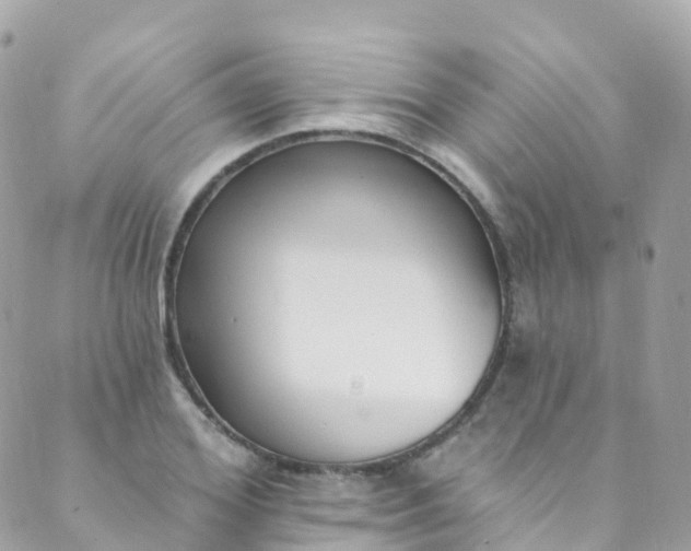 X0000089440980200707061404