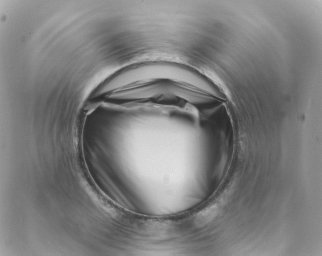 X0000089440981200707061404