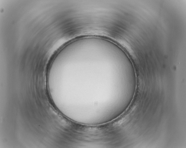 X0000089440982200707061404