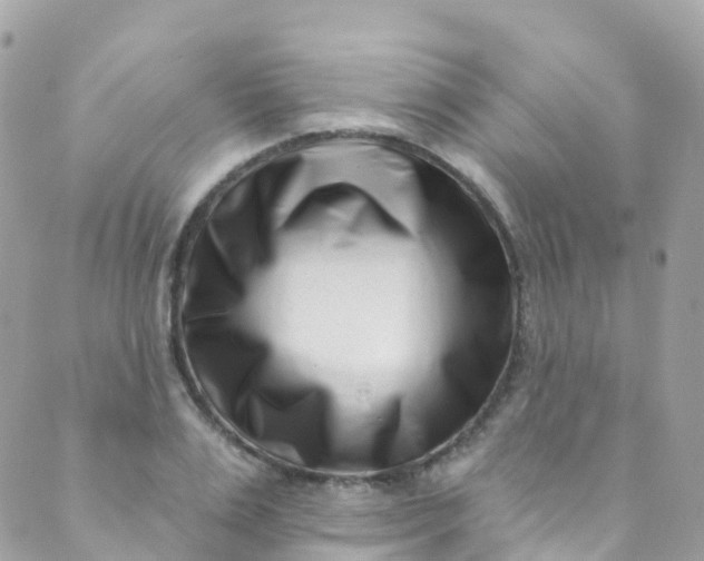 X0000089440983200707061404