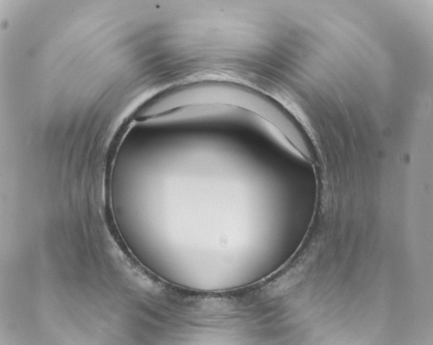 X0000089440984200707061404