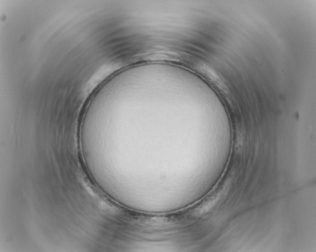 X0000089440986200707061404