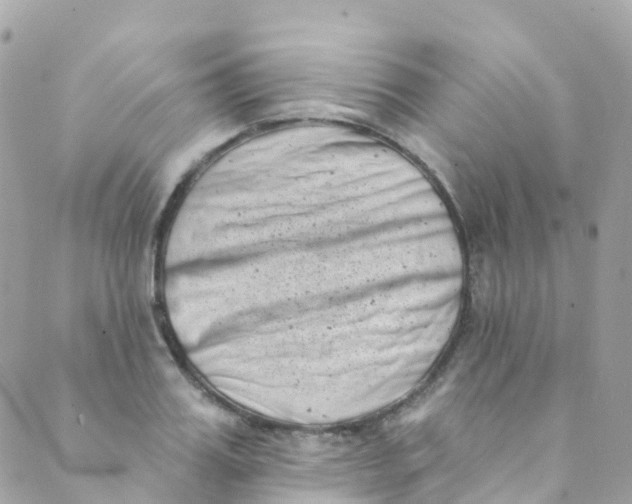 X0000089440987200707061404