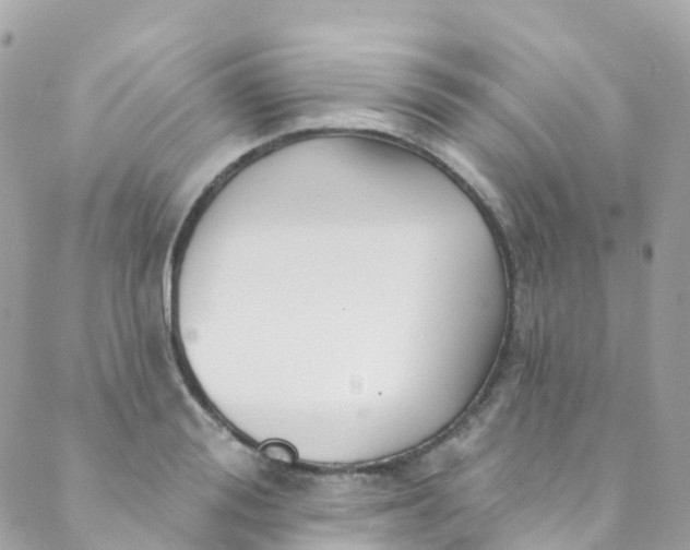 X0000089440988200707061404