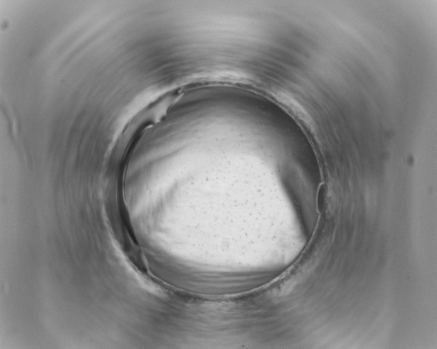 X0000089440989200707061404