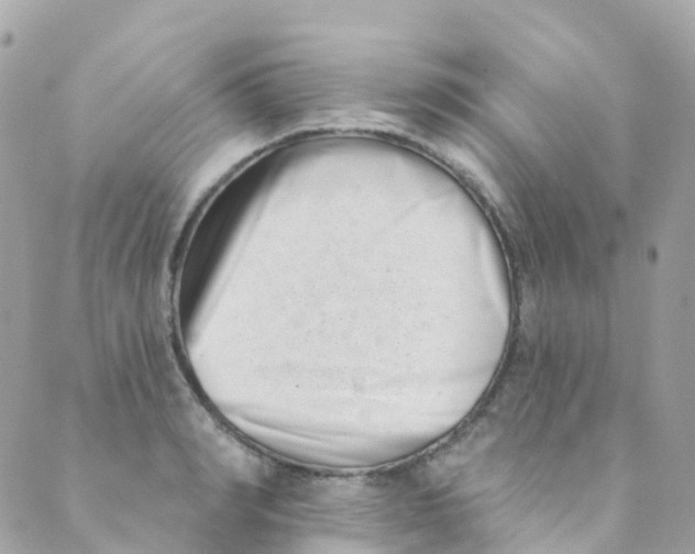 X0000089440990200707061404