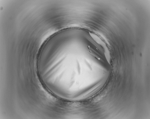 X0000089440991200707061404