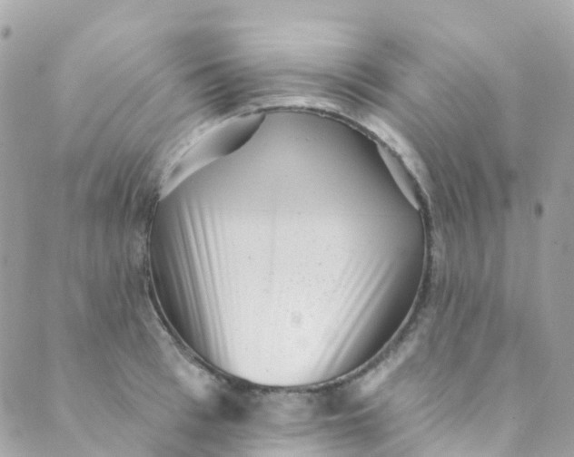 X0000089440993200707061404