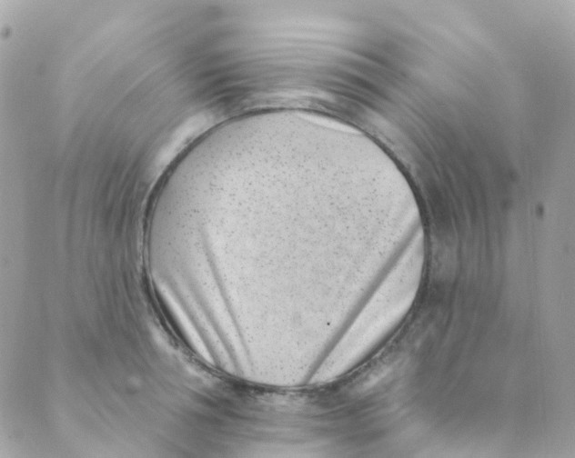 X0000089440994200707061404