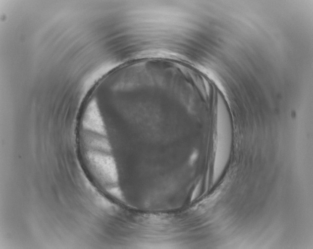 X0000089440995200707061404