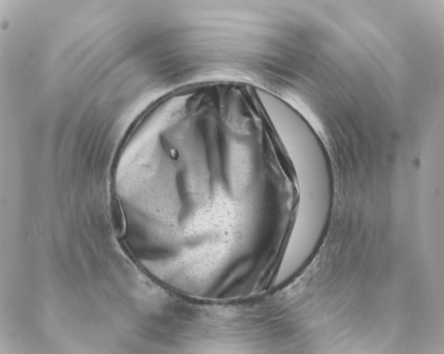 X0000089440996200707061404