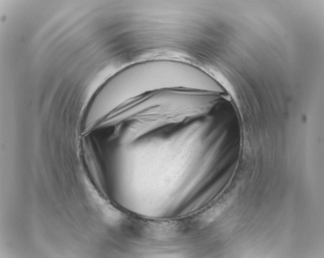 X0000089440997200707061404