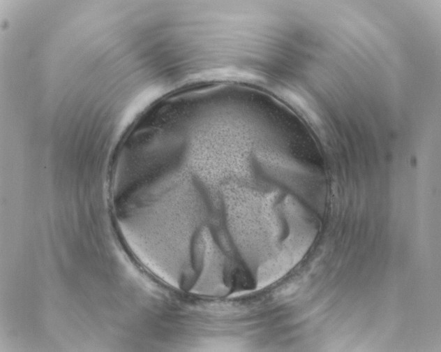 X0000089440998200707061404