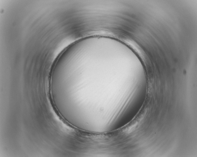 X0000089440999200707061404