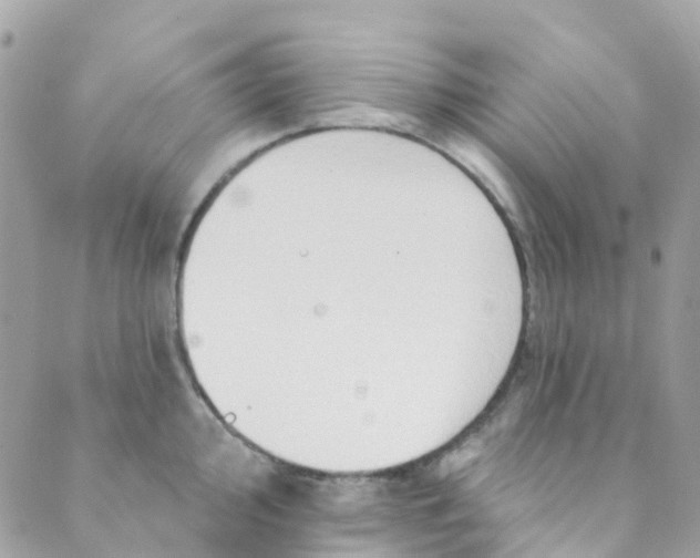 X0000089441000200707061404