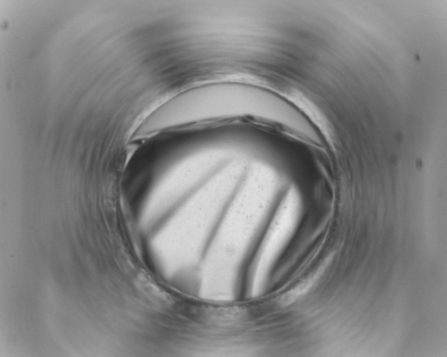 X0000089441001200707061404