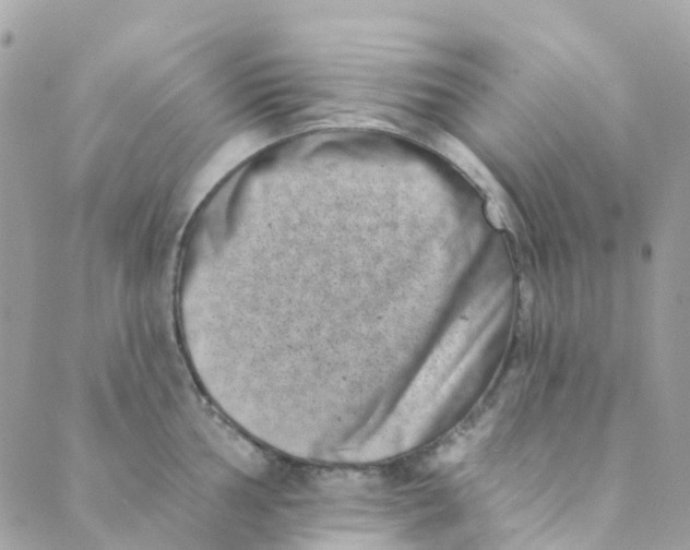 X0000089441002200707061404