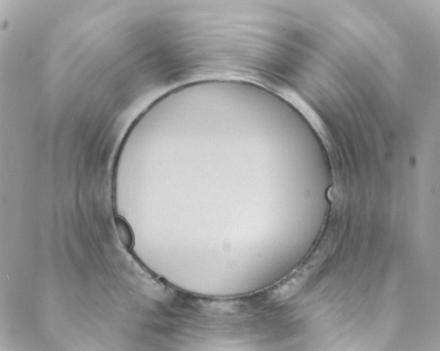 X0000089441004200707061404