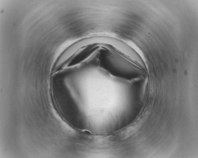 X0000089441005200707061404