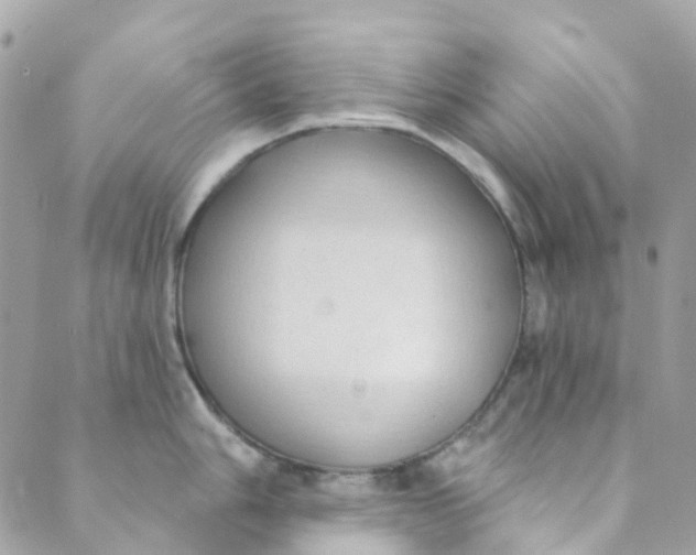 X0000089441006200707061404