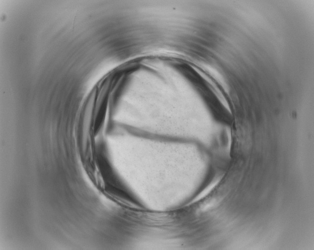 X0000089441007200707061404