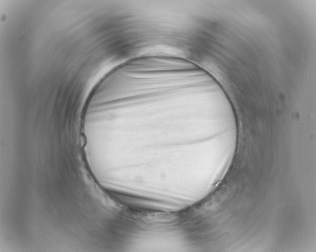 X0000089441008200707061404