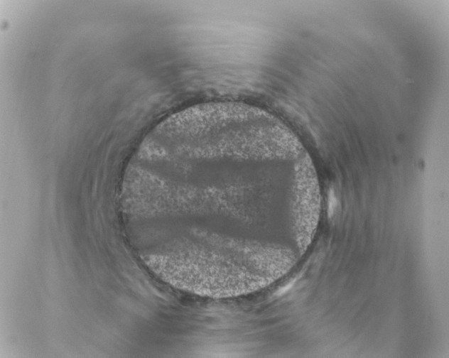 X0000089441009200707061403