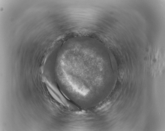 X0000089441010200707061403