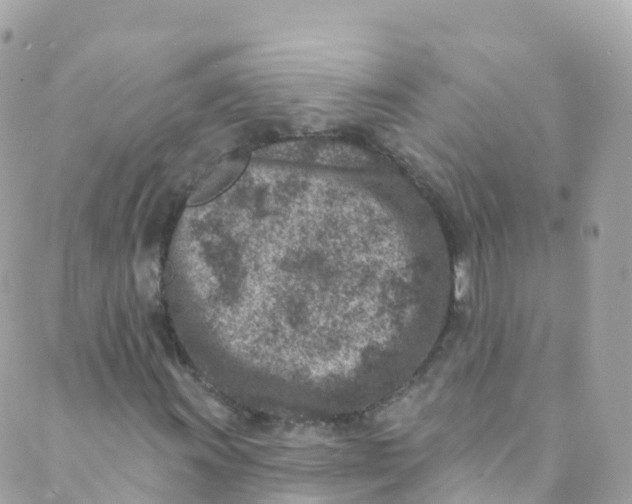 X0000089441011200707061403