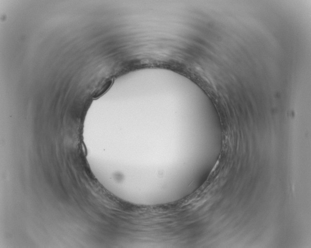 X0000089441012200707061403