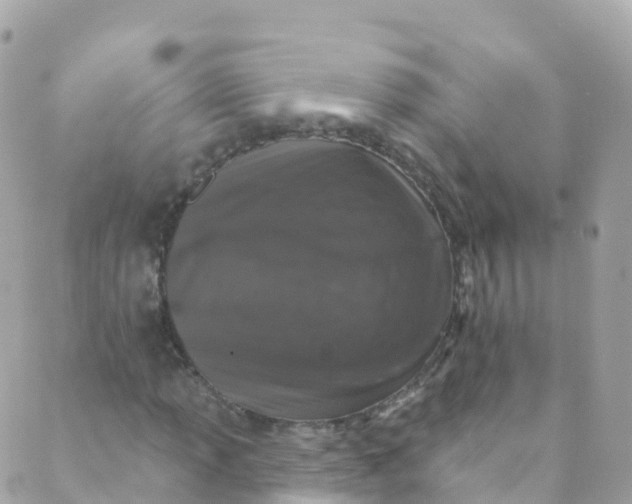 X0000089441013200707061403